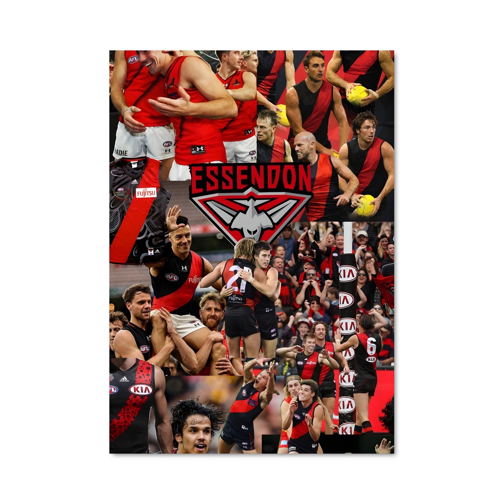Poster Essendon Spirit